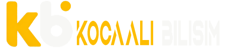 Kocaali Bilişim